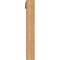 Ekena Millwork Westlake Traditional Smooth Bracket w/ Offset Brace, Western Red Cedar, 5 1/2"W x 32"D x 38"H BKT0604X32X38WTL01SWR - alternate 4